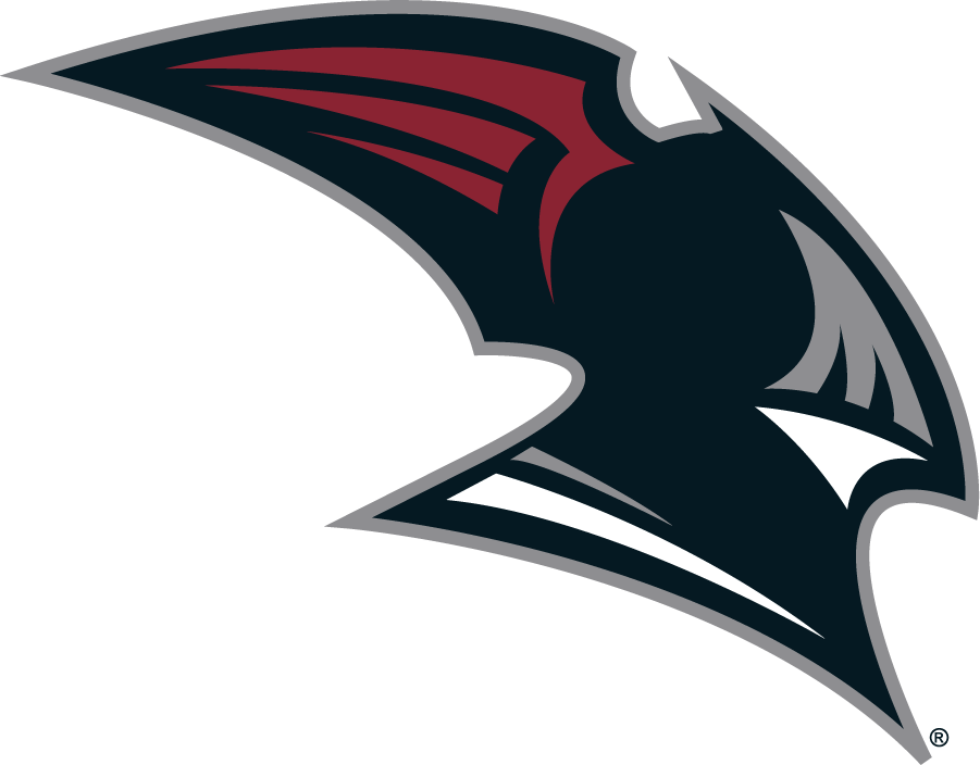 Bellarmine Knights 2004-2010 Secondary Logo v2 iron on transfers for T-shirts